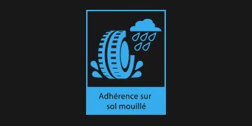 Adherence